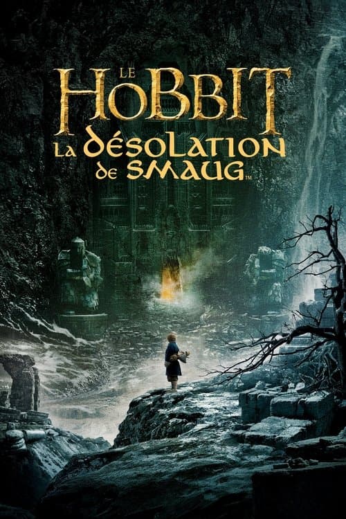 Le Hobbit : La Désolation de Smaug
